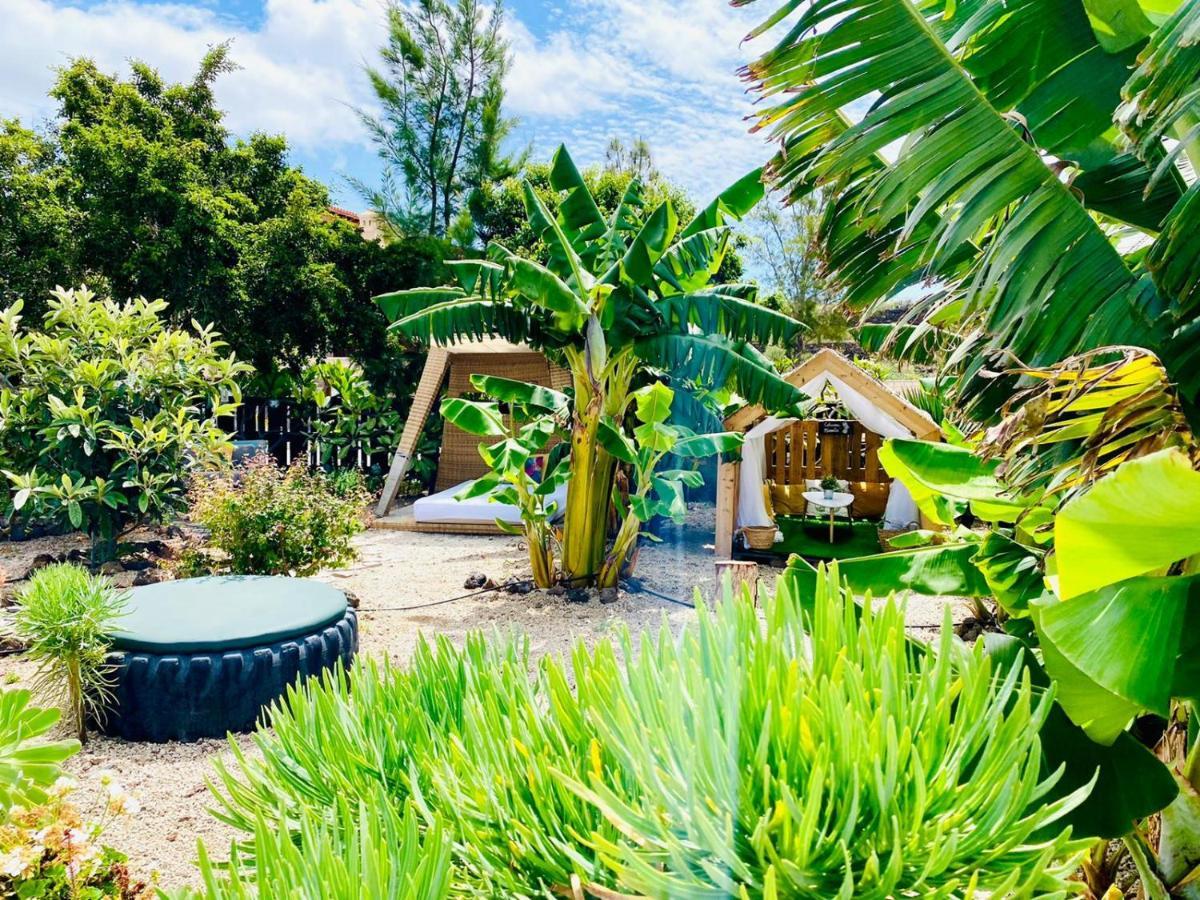 Alisios Hot Tub, Piscina Y Naturaleza Buzanada 外观 照片